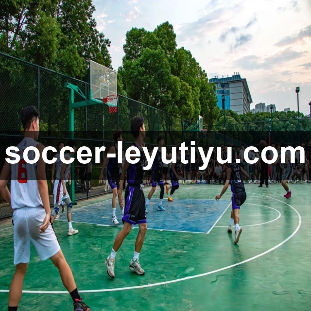 leyu体育——赛事策划流程